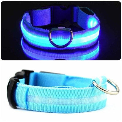 LED Light Up Collar (Battery) - Dogs and Horses