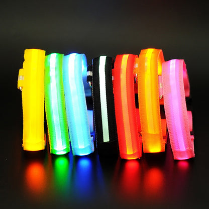 LED Light Up Collar (USB) - Dogs and Horses