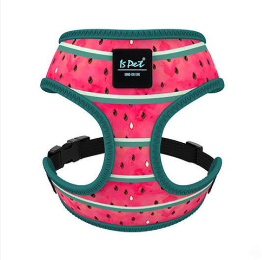 Bari Watermelon Harness - Dogs and Horses