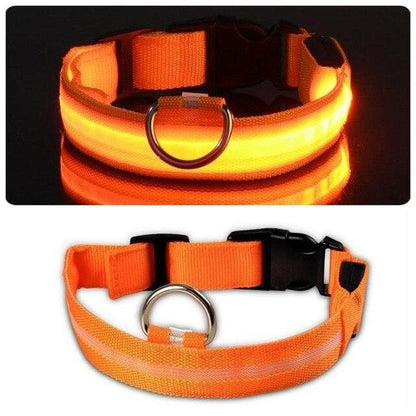 LED Light Up Collar (USB) - Dogs and Horses