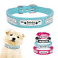 Pink Personalized Suede Collar - Dogs and Horses