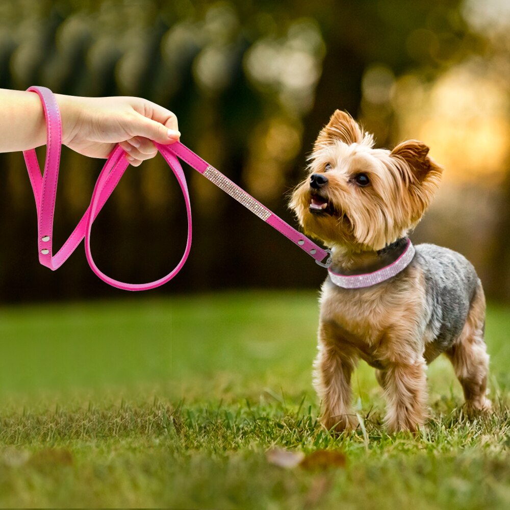 Bling Pink Suede Leash - Dogs and Horses