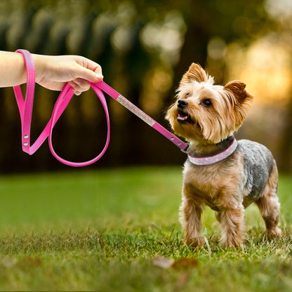 Bling Blue Suede Leash - Dogs and Horses