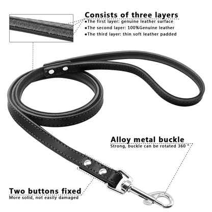 Matera Blue Leather Leash - Dogs and Horses