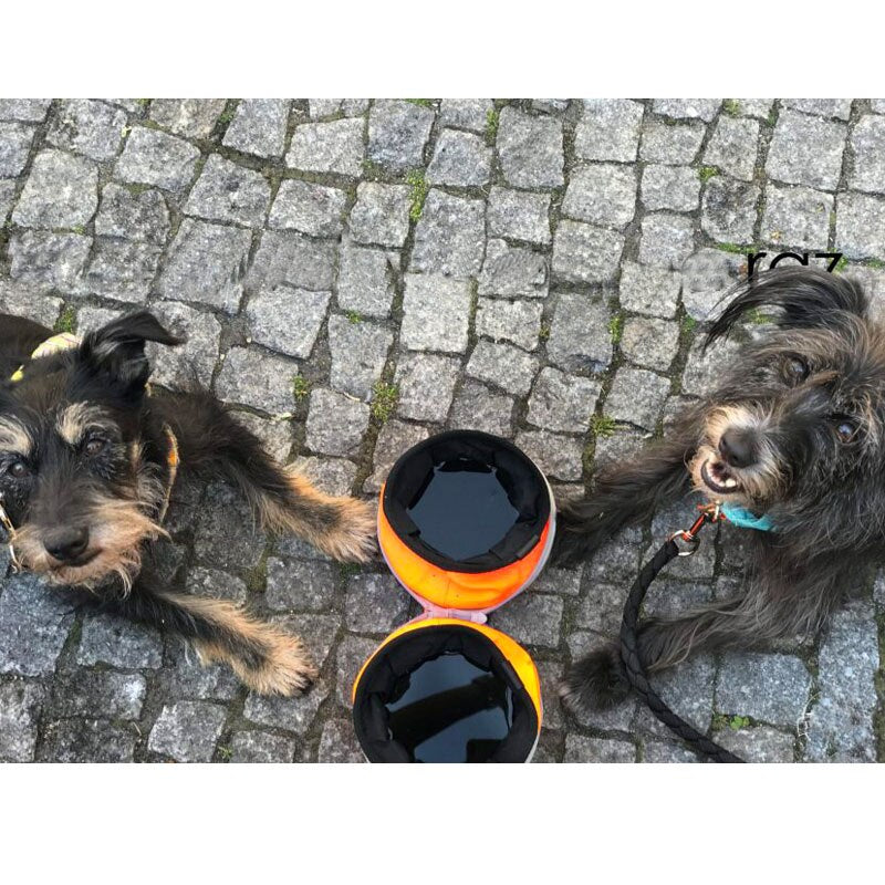 Foldable Waterproof Bowl - Dogs and Horses