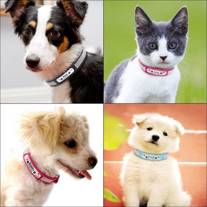Black Personalized Suede Collar - Dogs and Horses