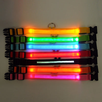 LED Light Up Collar (Battery) - Dogs and Horses