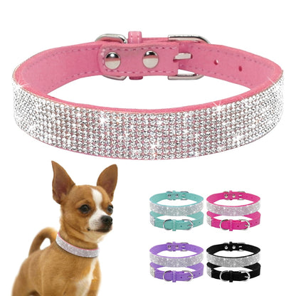 Bling Blue Suede Collar - Dogs and Horses