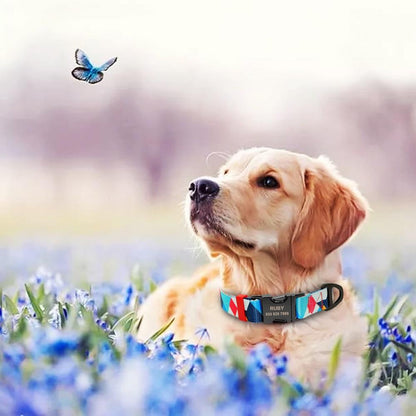 Picasso Blue Personalized Collar & Leash Set - Dogs and Horses