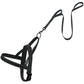 Black No Pull Reflective Leash - Dogs and Horses