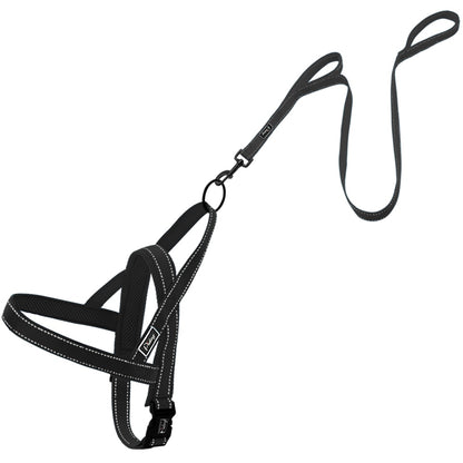 Green No Pull Reflective Leash - Dogs and Horses