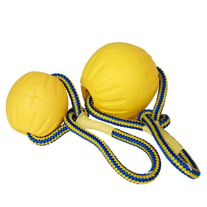Chew Ball & Rope - Dogs and Horses