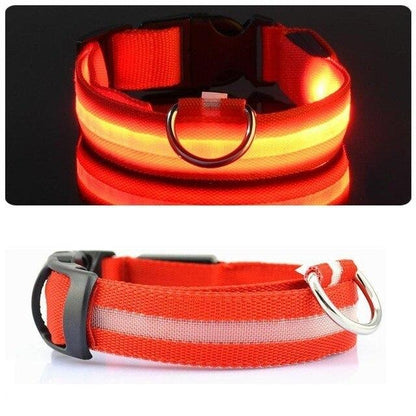 LED Light Up Collar (Battery) - Dogs and Horses