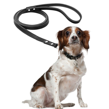 Matera Black Leather Leash - Dogs and Horses