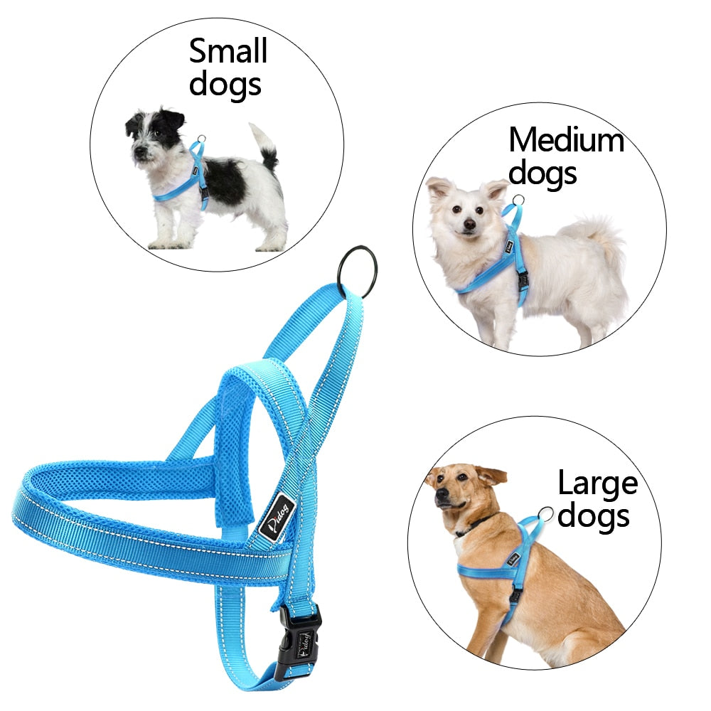 Blue No Pull Reflective Harness & Leash Set - Dogs and Horses