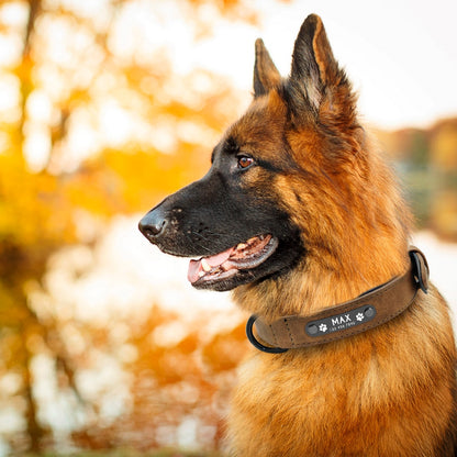 Roma Custom Leather Collar and Leash - Dogs and Horses