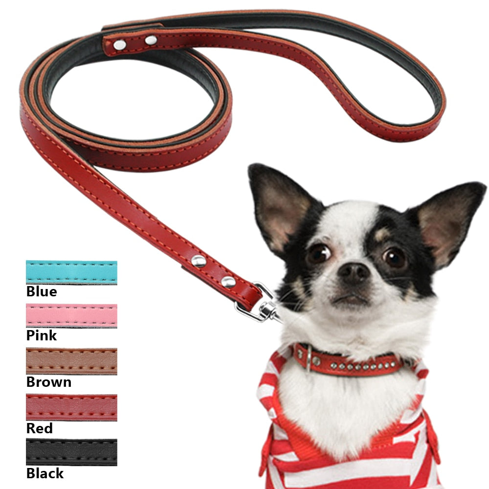 Matera Black Leather Leash - Dogs and Horses