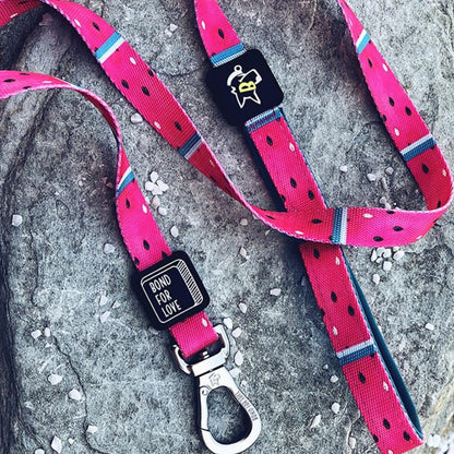 Bari Watermelon Leash - Dogs and Horses