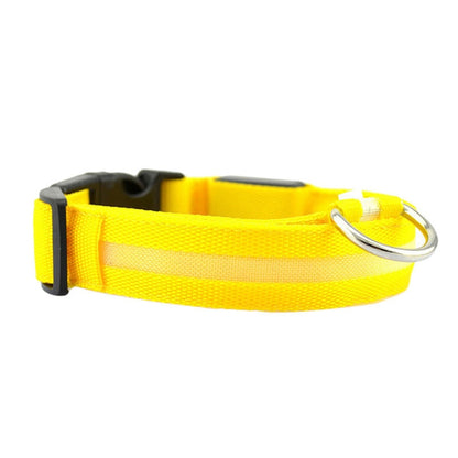 LED Light Up Collar (USB) - Dogs and Horses