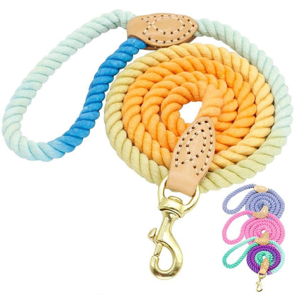 Blue Cotton Rope Leash - Dogs and Horses