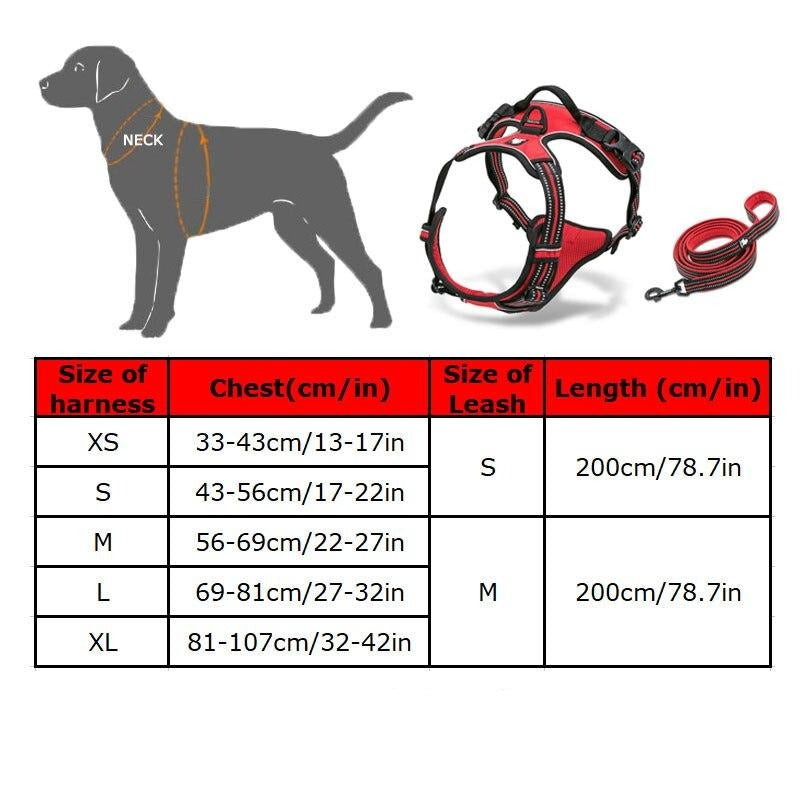 Collodi Red Harness & Leash Set - Dogs and Horses