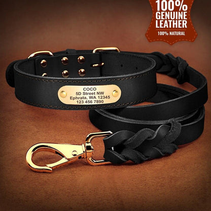 Bergamo Brown Leather Collar & Leash Set - Dogs and Horses