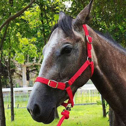 Anti-friction Halter / Headcollar (3 colors) - Dogs and Horses