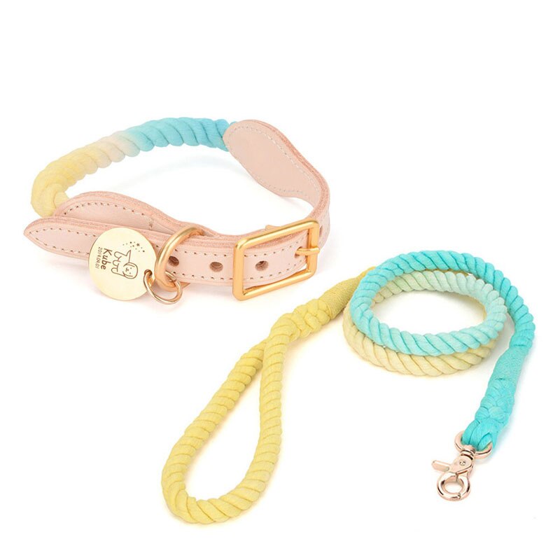 Venice Yellow/Blue Collar & Leash Set - Dogs and Horses
