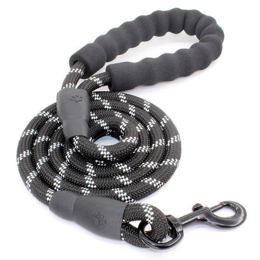 Black Reflective Padded Leash - Dogs and Horses