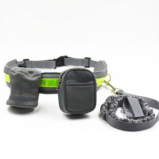 Gray Hands-Free Leash & Running Belt - Dogs and Horses