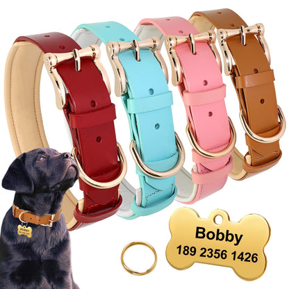 Napoli Brown Leather Collar & Custom Engraved Tag - Dogs and Horses