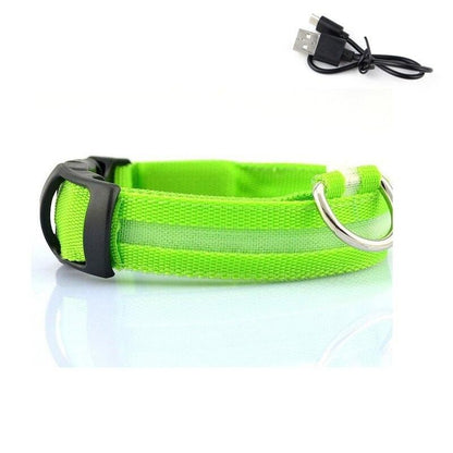 LED Light Up Collar (USB) - Dogs and Horses