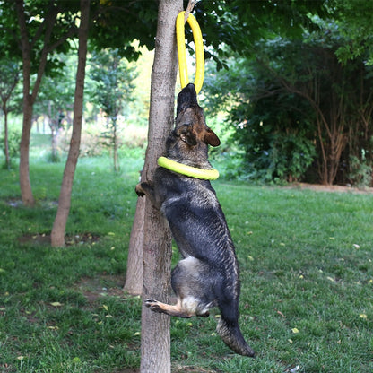 Flying Pull Discs - Dogs and Horses