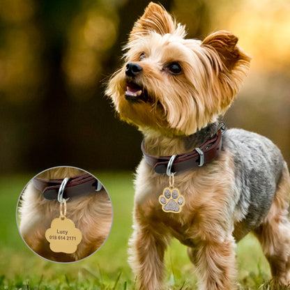 Gold Paw Personalized ID Tags - Dogs and Horses