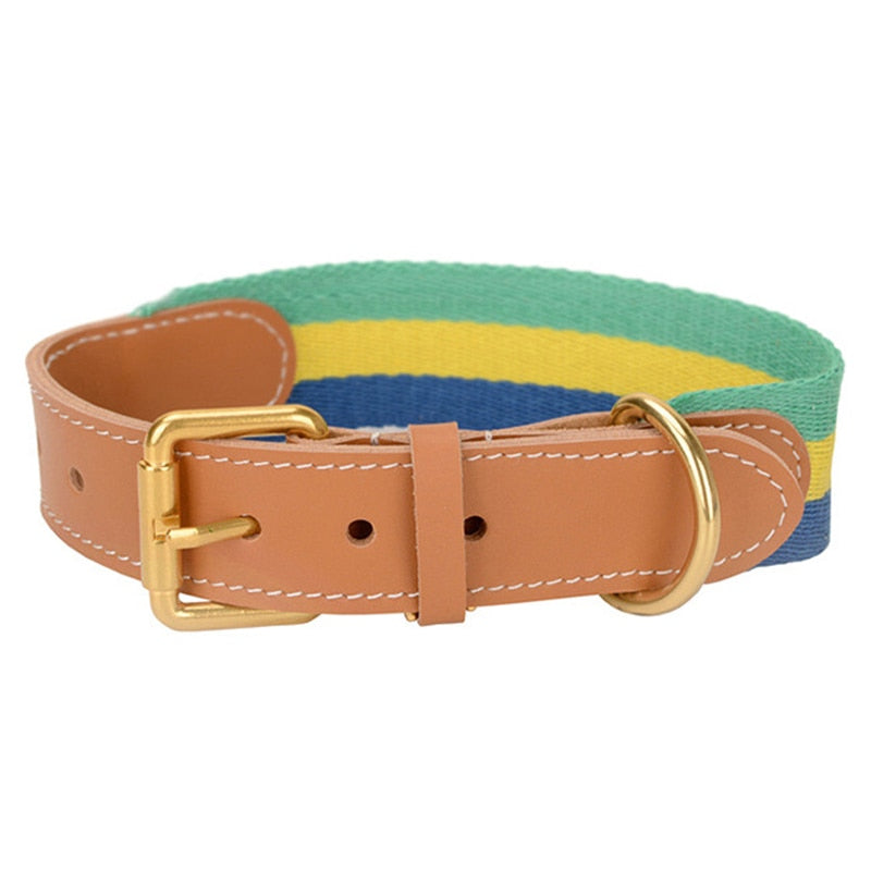 Oxford Green Collar - Dogs and Horses