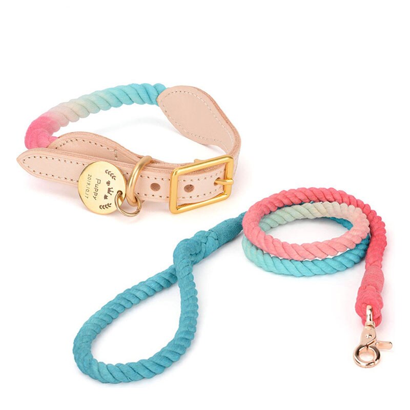 Venice Pink/Blue Collar & Leash Set - Dogs and Horses
