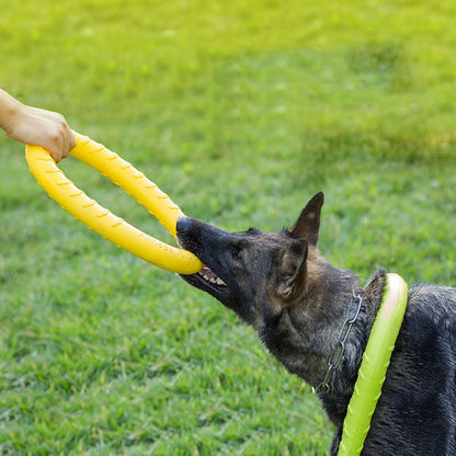 Flying Pull Discs - Dogs and Horses