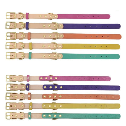 Siena Purple Collar & Custom Engraved Tag - Dogs and Horses