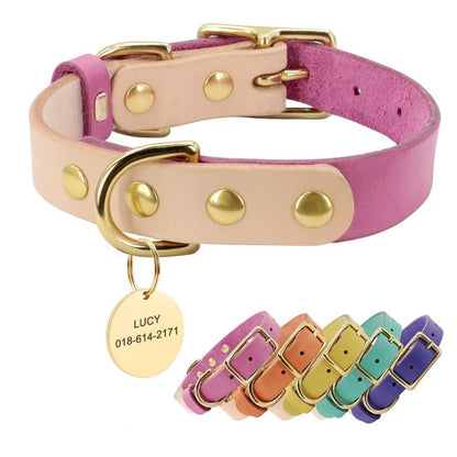Siena Rose Collar & Custom Engraved Tag - Dogs and Horses