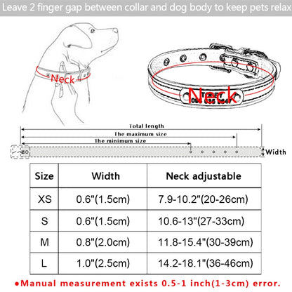 Gold Glittering Personalized Collar - Dogs and Horses