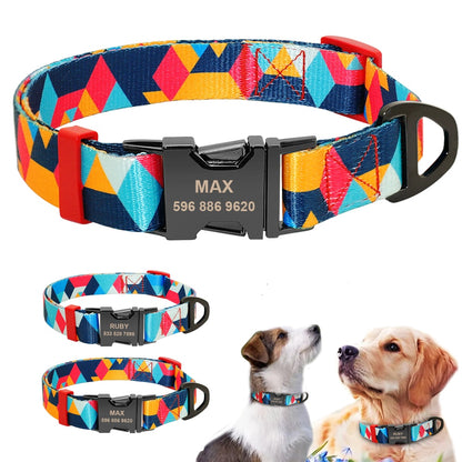 Picasso Orange Collar with Custom Engraving - Dogs and Horses