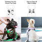 Capri Nana Harness - Dogs and Horses