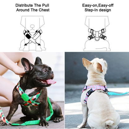 Capri Nana Harness - Dogs and Horses