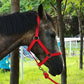 Anti-friction Halter / Headcollar (3 colors) - Dogs and Horses