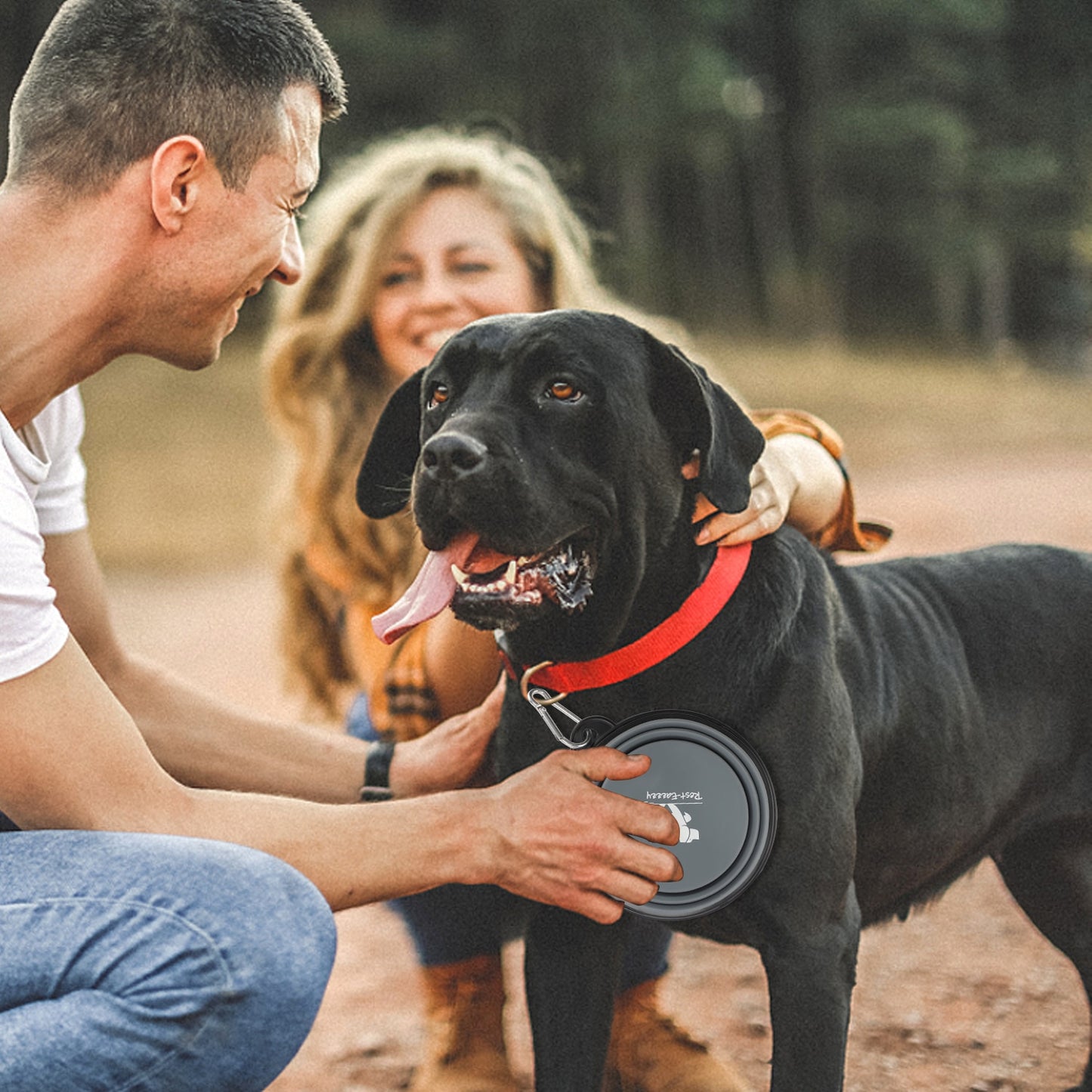 Collapsible Portable Bowl - Dogs and Horses