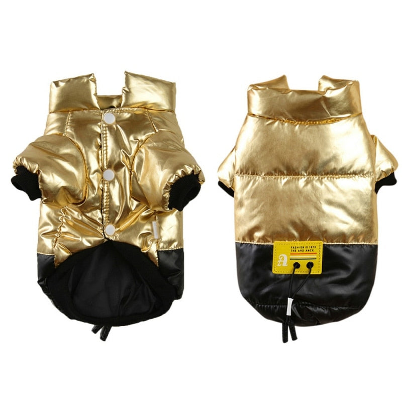 Gold coat for dogs best sale