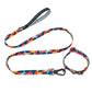 Picasso Orange Personalized Collar & Leash Set - Dogs and Horses