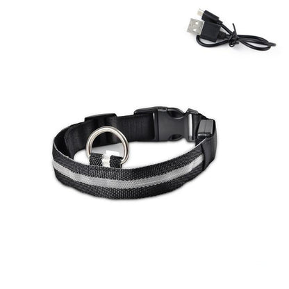LED Light Up Collar (USB) - Dogs and Horses