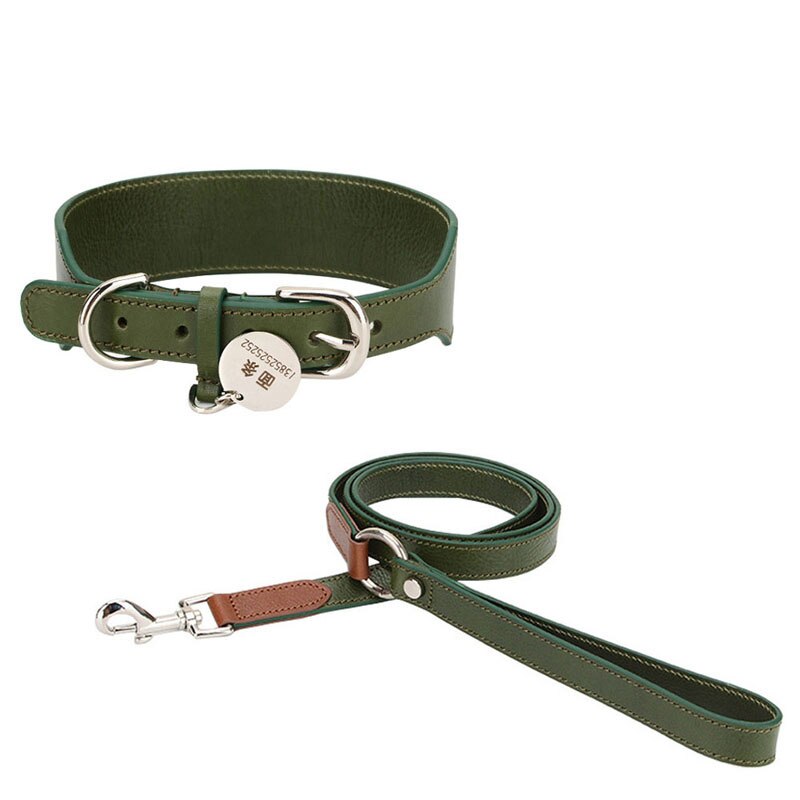 Lucca Green Leather Collar & Leash Set - Dogs and Horses