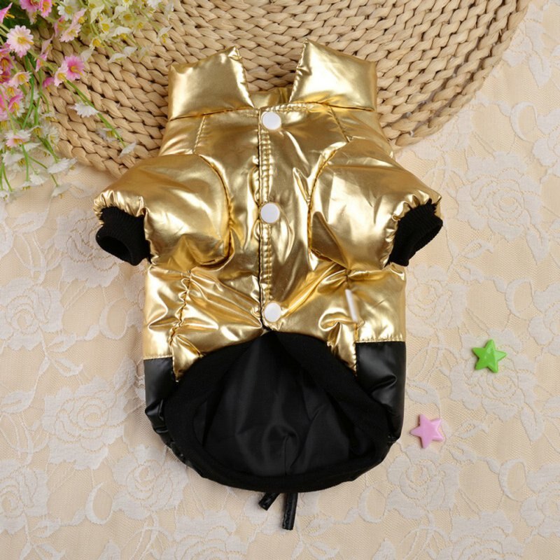 Royal Dog Jacket (Gold / Silver) - Dogs and Horses